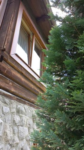 Melitton, Zakopane (fotografie 6)
