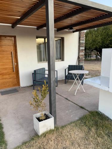 Vultur in Veinticinco de Mayo