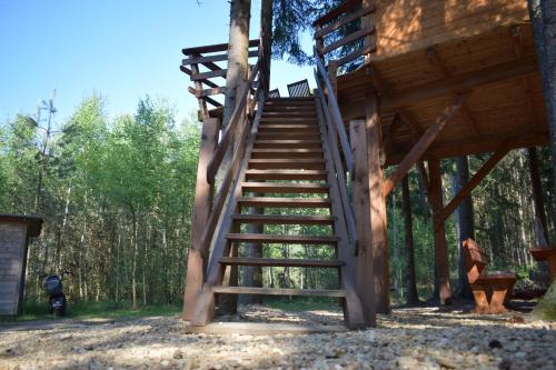 Apkārtne, Treehouse U lesa in Osecna