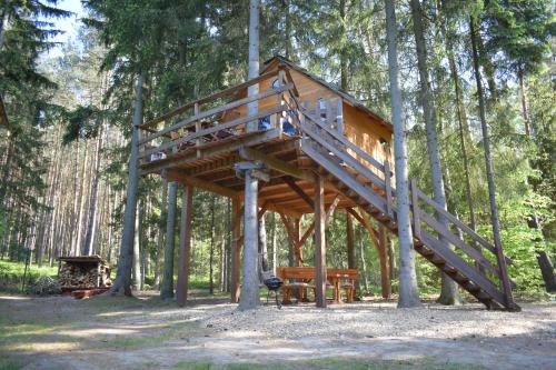 Viesnīcas āriene, Treehouse U lesa in Osecna