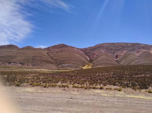 Bajo la vina in Barrio Bajo la Vina
