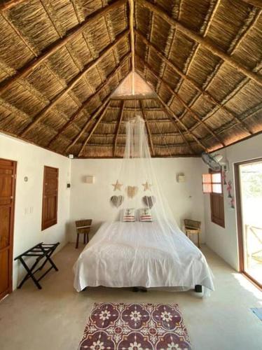 La conchita de sisal 3 in Sisal, Mexico