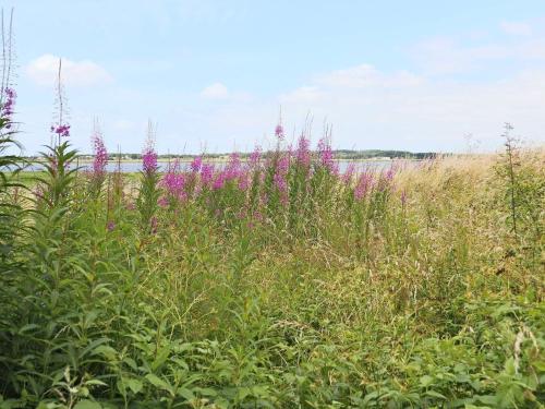 Facilities, star holiday home in VARBERG in Getteron