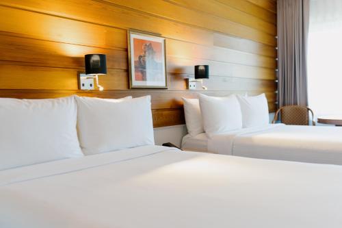 Standard Double Room with Two Double Beds