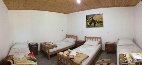 Zariklis, Theth (foto 9)