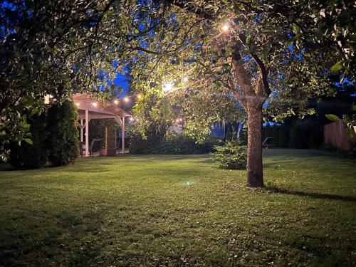 Brand new 3BR family friendly house with huge garden Brand new 3BR family friendly house with huge garden