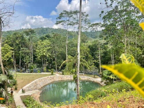 Quinta Vacacional Puerto Quito - Urb Privada El Jardín (Quinta Vacacional Puerto Quito - Urb Privada El Jardin) in Pedro Vicente Maldonado