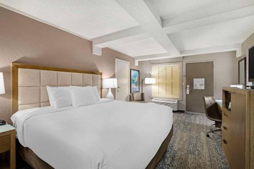 King Room - Non-Smoking image 3