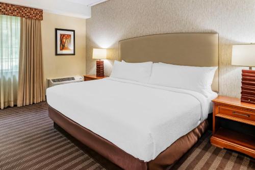 Best Western Springfield Hotel - image 14