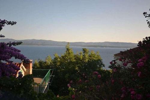 Apartments with parking space Murvica, Brac - 23462 in Murvica