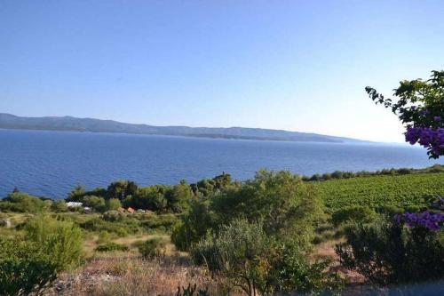 Two-Bedroom Apartment with Terrace and Sea View image 1