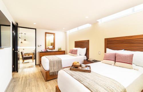 Grand Chapultepec Residencial Grand Chapultepec Residencial