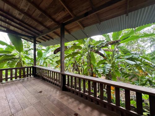 Dārzs, Ecohotel Iraka Cabañas Privadas en Selva y Playa (Ecohotel Iraka Cabanas Privadas en Selva y Playa) in Bahia Solano (Choco)