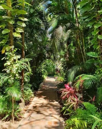 Vista Naturaleza Departamento in Puerto Vallarta, Mexico