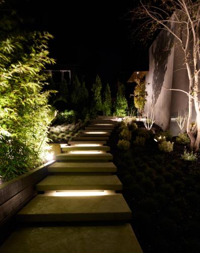 Hollyridge Mountain Dream, Los Angeles (zdjęcie 4)