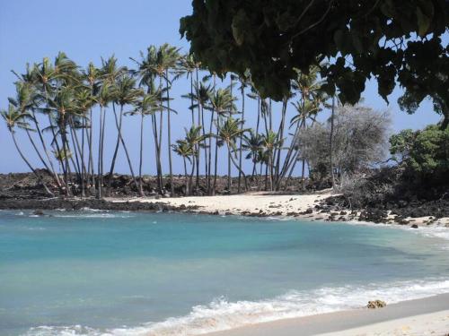 King Palm Ocean views King bed walk to beach Free WIFI parking BBQ