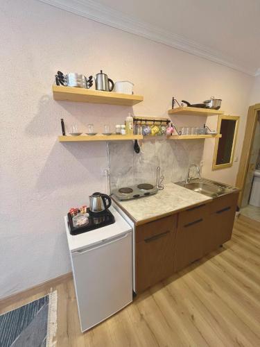 One-Bedroom Apartment image 7