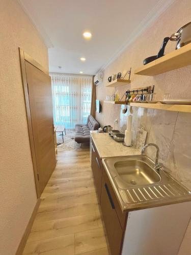 One-Bedroom Apartment image 3
