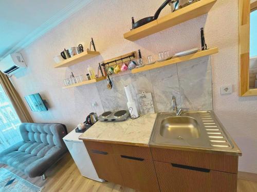 One-Bedroom Apartment image 6