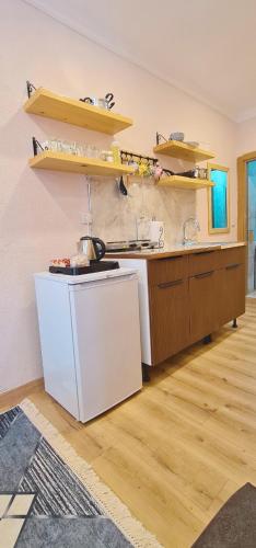 One-Bedroom Apartment image 8