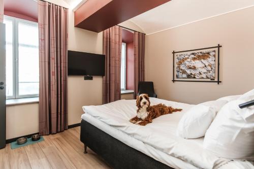 1 queen bed
