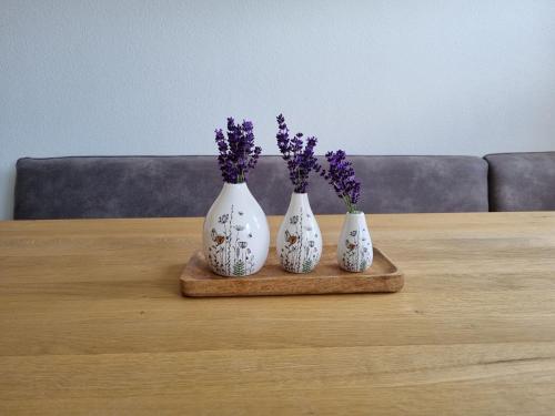Flat in Wagrain near Ski Slopes, Wagrain (foto 7)