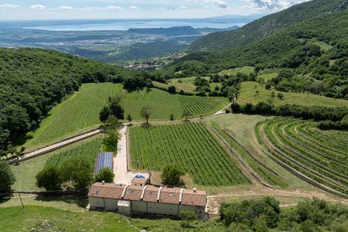 Poderi Campopian · Monte