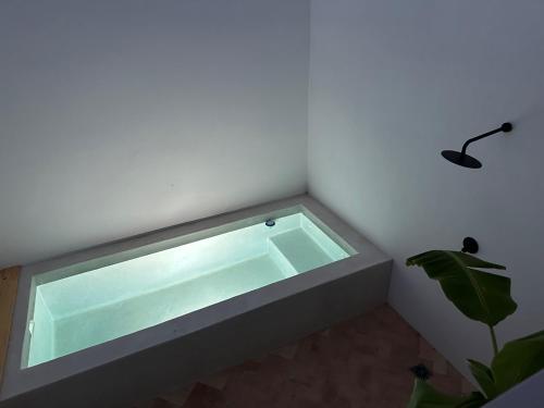 CASA MEUA in Les Cases d'Alcanar