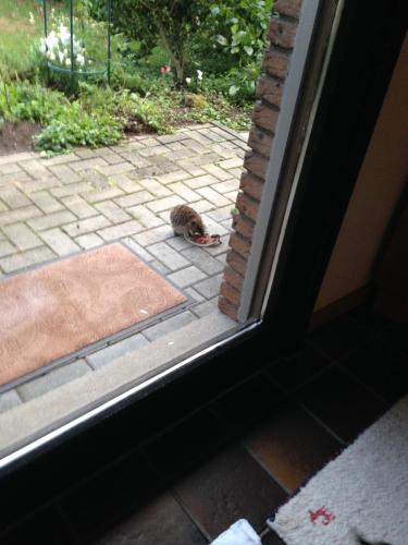 Dārzs, Privatzimmer Kempen in Kempen (North Rhine-Westphalia)