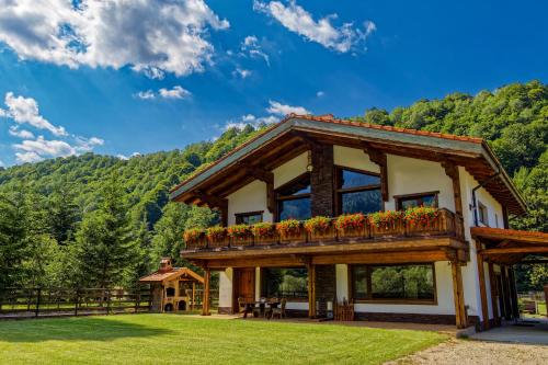 Avalanche Plaiul Foii, Zărneşti