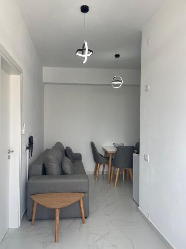One-Bedroom Apartment image 8