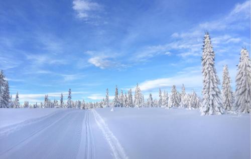 Eksterijer hotela, 3 Bedroom Lovely Home In Sjusjøen in Sjusjoen
