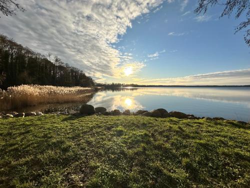 Wolfshotel am Arendsee - image 4