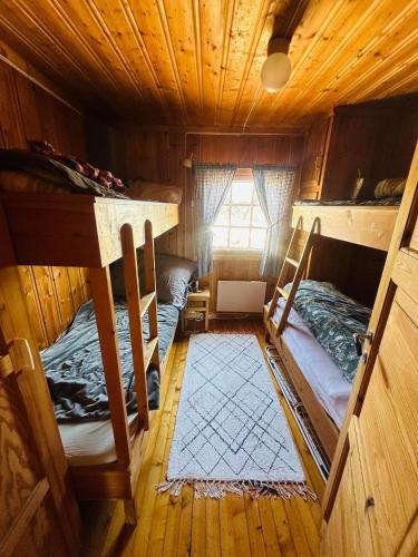 Nydelig perle på naturskjønne Buvassbrenna, Nesbyen (Nydelig perle pa naturskjønne Buvassbrenna, Nesbyen) in เนสบิเอิน