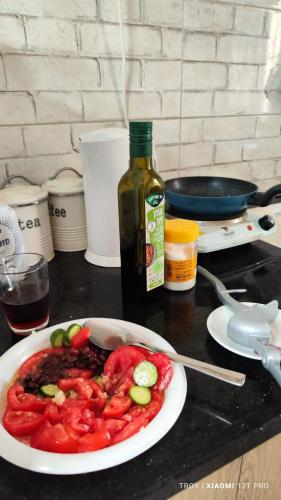 Blue Kingdom 1 bedroom apartment in Safed