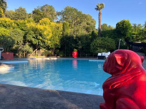 Swimming pool, Lbkn in Rangueil