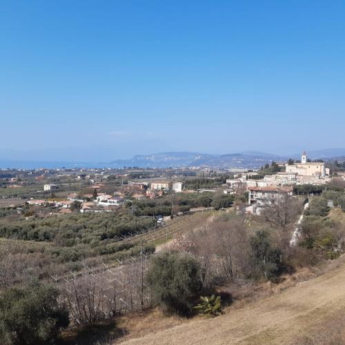 Artisanti - DANIA HOME