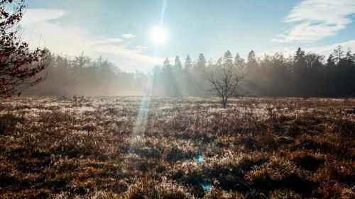 Hotel Restaurant Ruimzicht - image 8