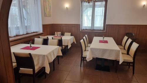Penzion u dobrého lva (Penzion u dobreho lva) in Frenstat