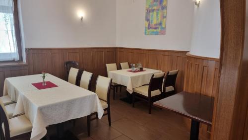 Penzion u dobrého lva (Penzion u dobreho lva) in Frenstat