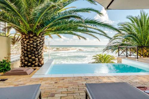 Camps Bay Terrace Palm Suite - Cape Town Camps Bay Terrace Palm Suite - Cape Town