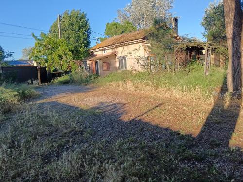 Bohémienne Bohémienne