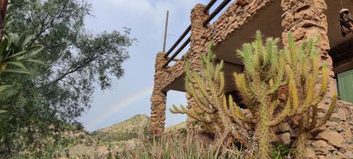 Off Grid - Puerto Mika - casa Lola in Torviscon