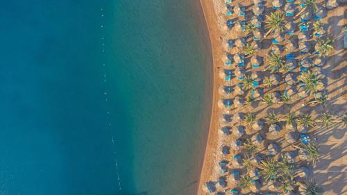 马林海滨度假村