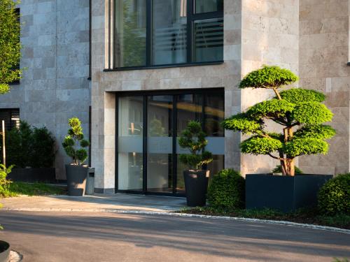 LMS - La Maison Suisse - Dottingen