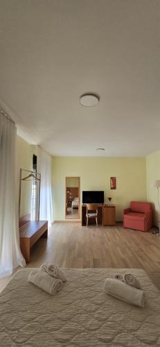 Iekārtas, Pianisi Albergo in Ripabottoni