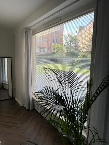 Unique apartment on the prestige address, Helsinky (fotografie 4)
