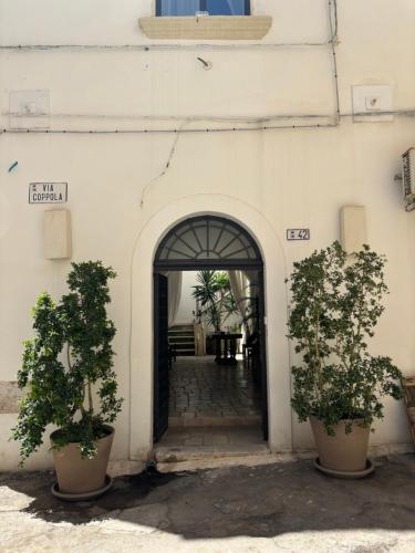 Palazzo NUR 5