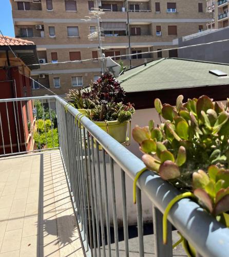 Bed and Breakfast Sofia, Pescara