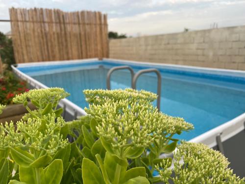 Eco house villa jeo - Tap to explore photos